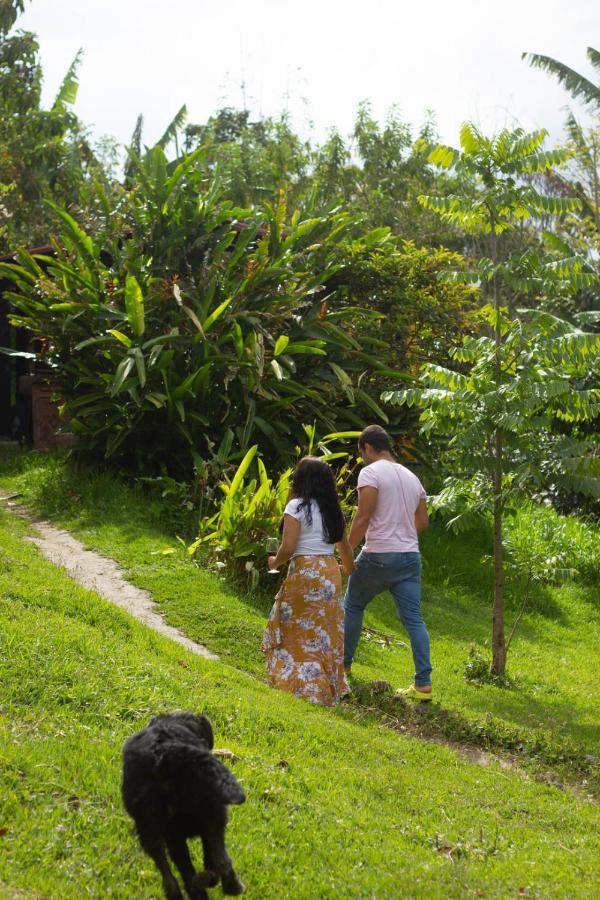 The Plantation House Travellers Hostelサレント エクステリア 写真
