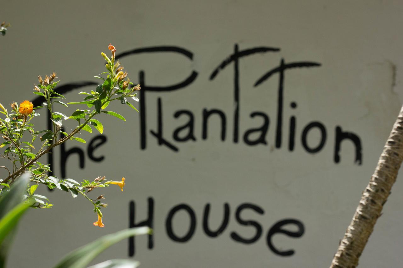 The Plantation House Travellers Hostelサレント エクステリア 写真